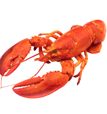 product-redlobster