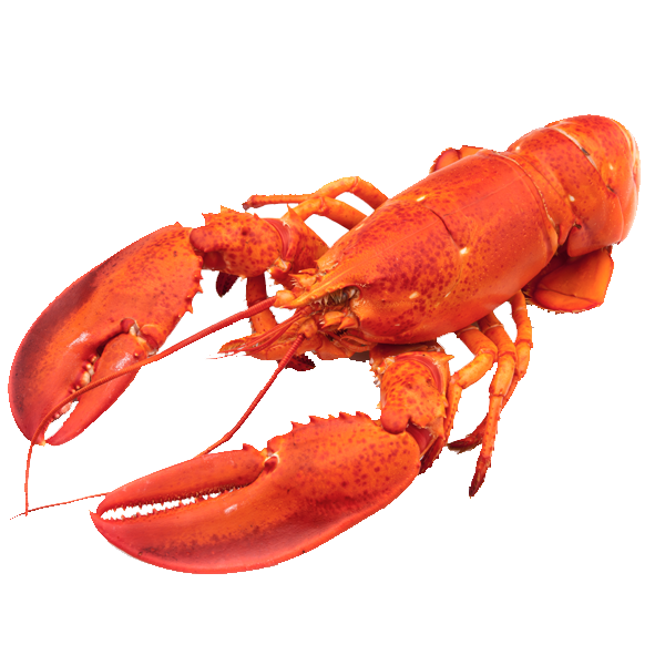 product-redlobster